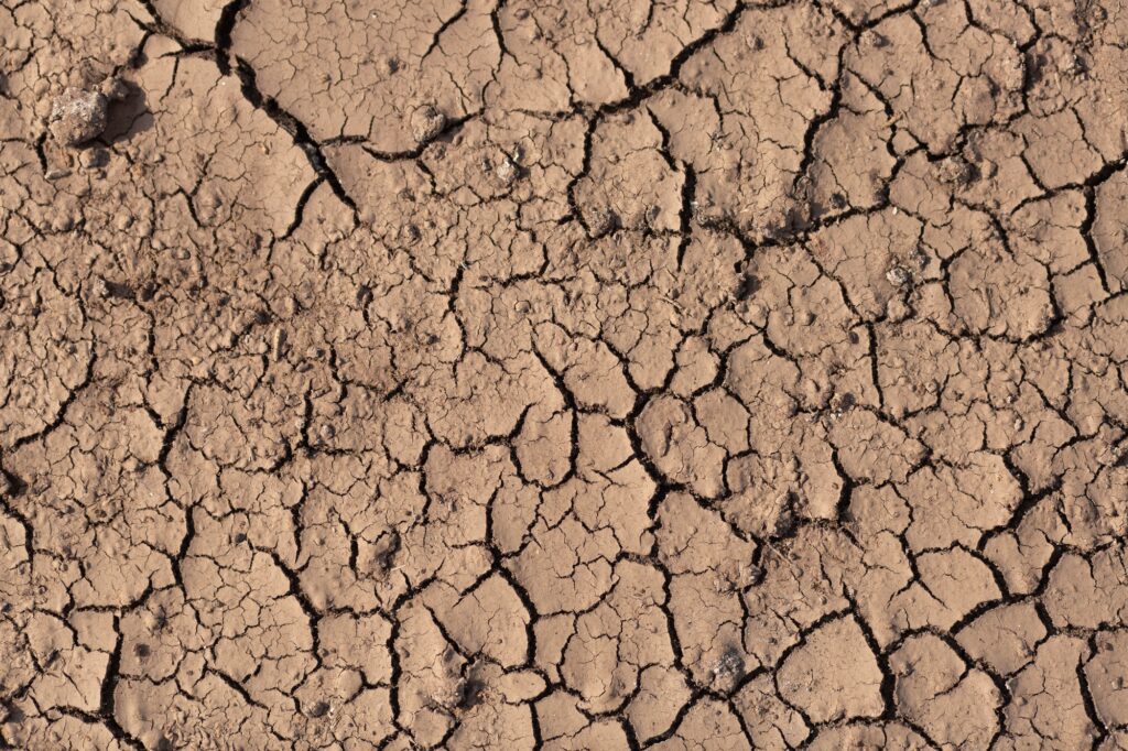 Dry cracked ground, drought