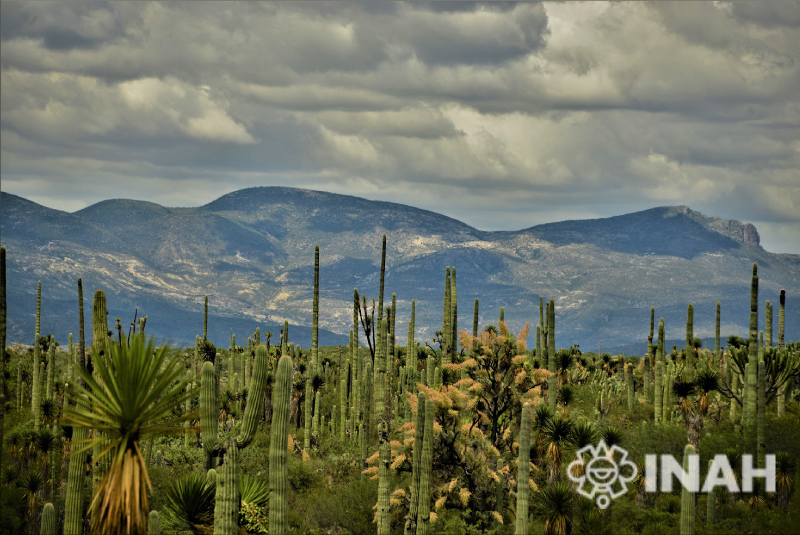 El Gobierno de México entrega a la comunidad del Valle de Tehuacán-Cuicatlán el certificado de la inscripción en la Lista del Patrimonio Mundial