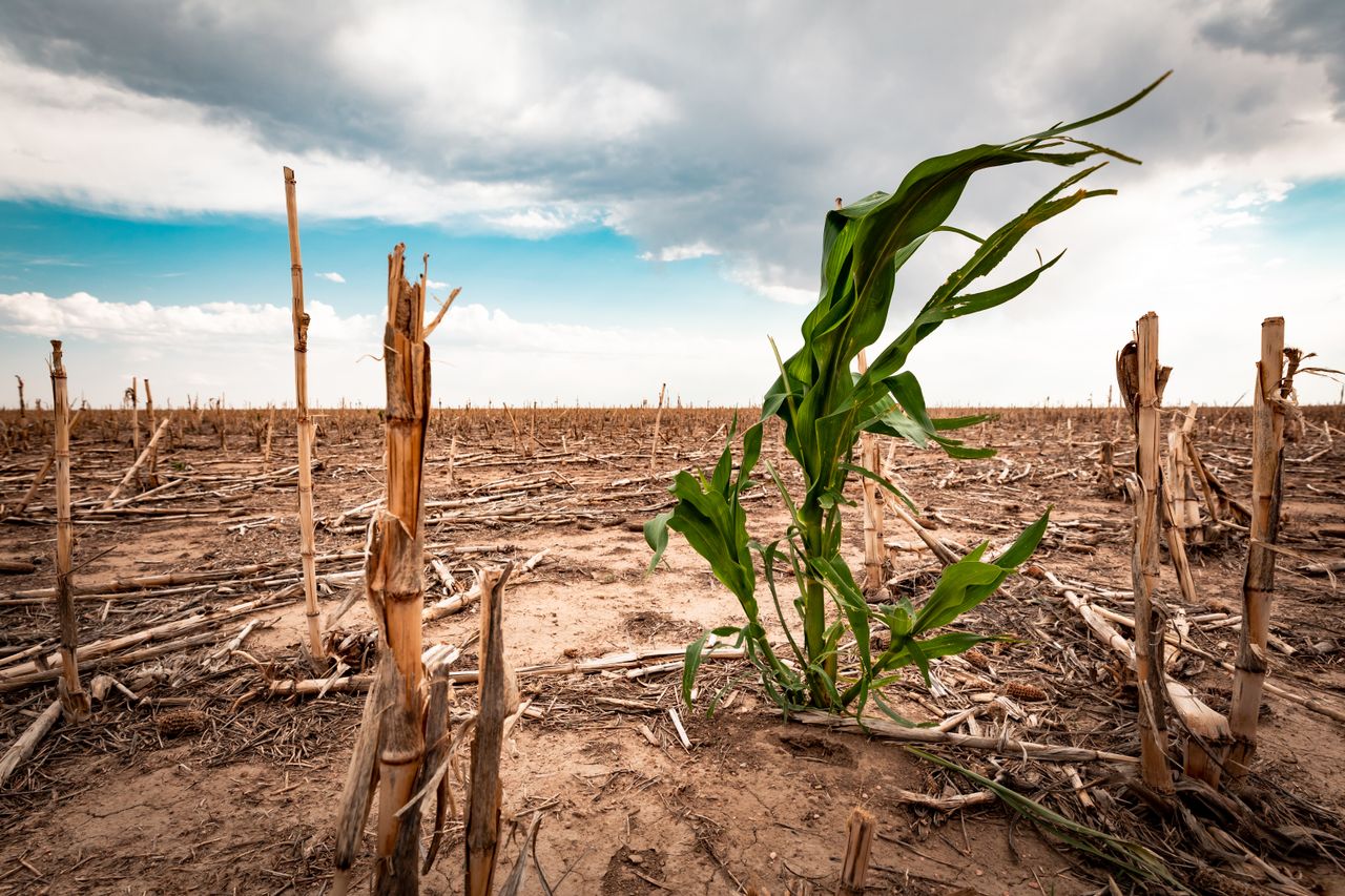 Escasez de agua, un problema latente en México y el Mundo