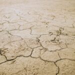 Drought. Earth. Background. Climate change.