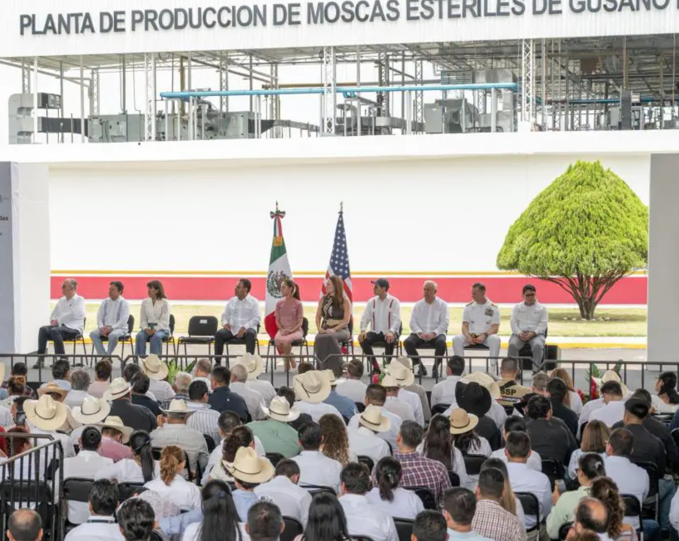 SHEINBAUM INAUGURA PLANTA DE MOSCA ESTÉRIL EN CHIAPAS