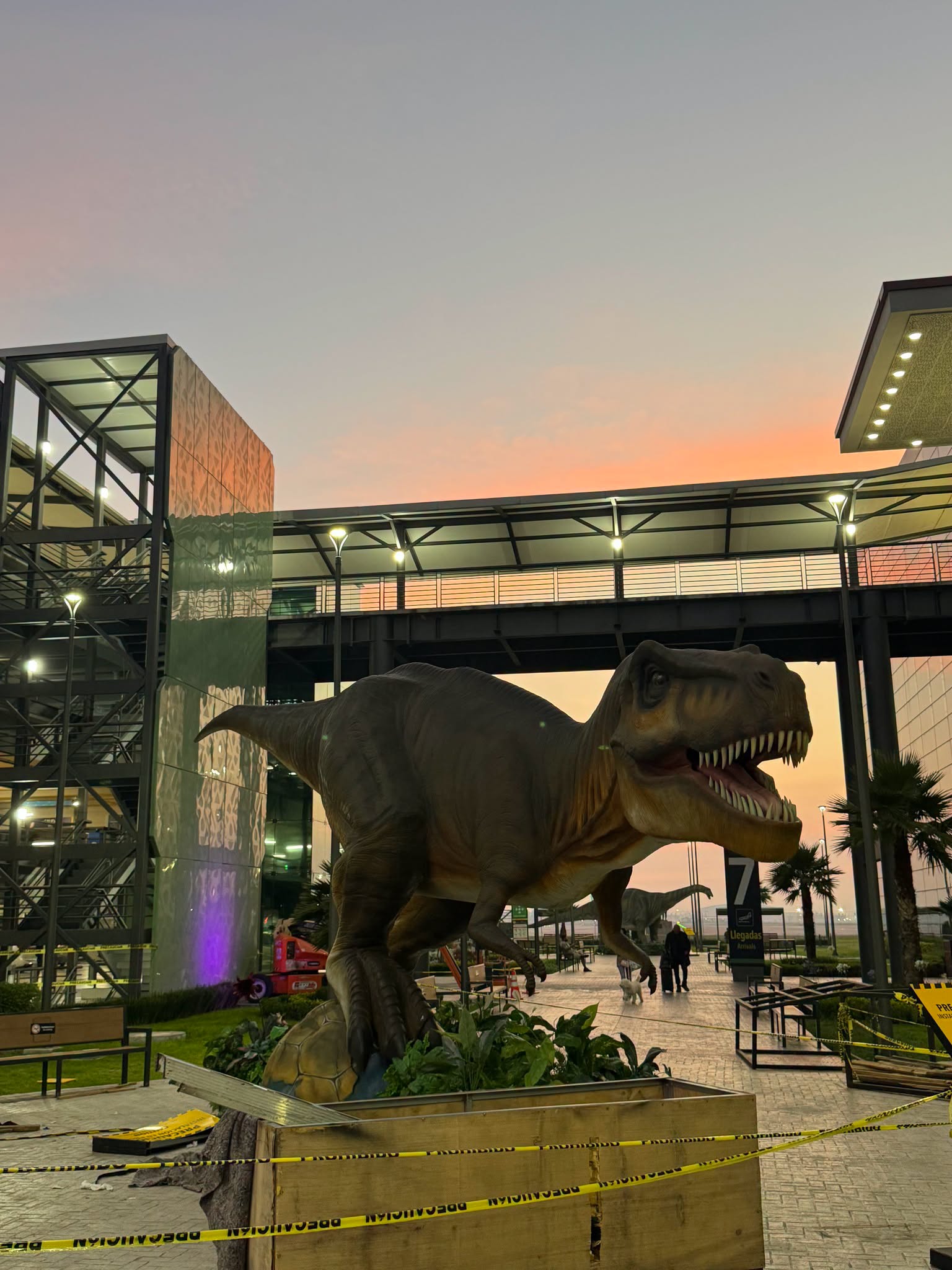 El Museo del Desierto de Coahuila instala dinosaurios de tamaño real en los pasillos del AIFA