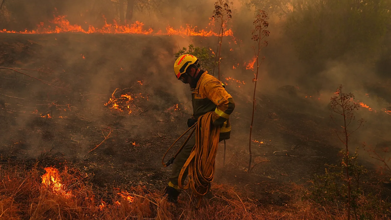 Los incendios en España no dan tregua: 52 carreteras cortadas y ola de calor extremo activa