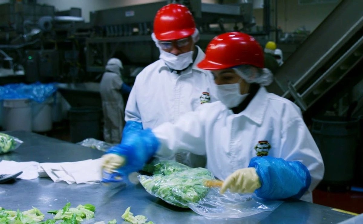 La FDA admite que el resultado positivo en lechuga mexicana fue un error de laboratorio