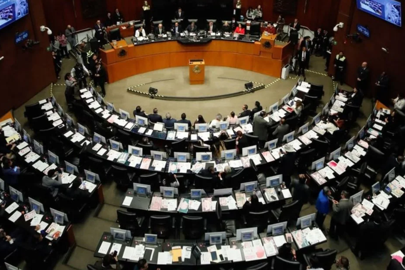 Cámaras declaran constitucionalidad de la reforma de nacionalidad única de candidatos