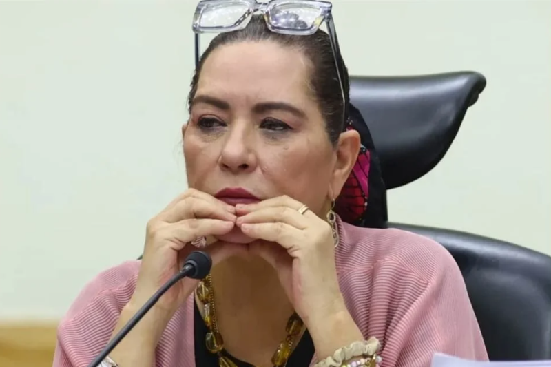 Taddei niega conflictos de interés y asegura que el INE colaborará con investigaciones