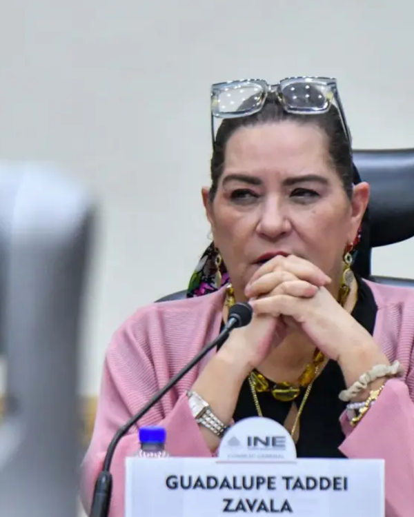 “Me retiro con la satisfacción del deber cumplido”: Taddei renuncia al INE