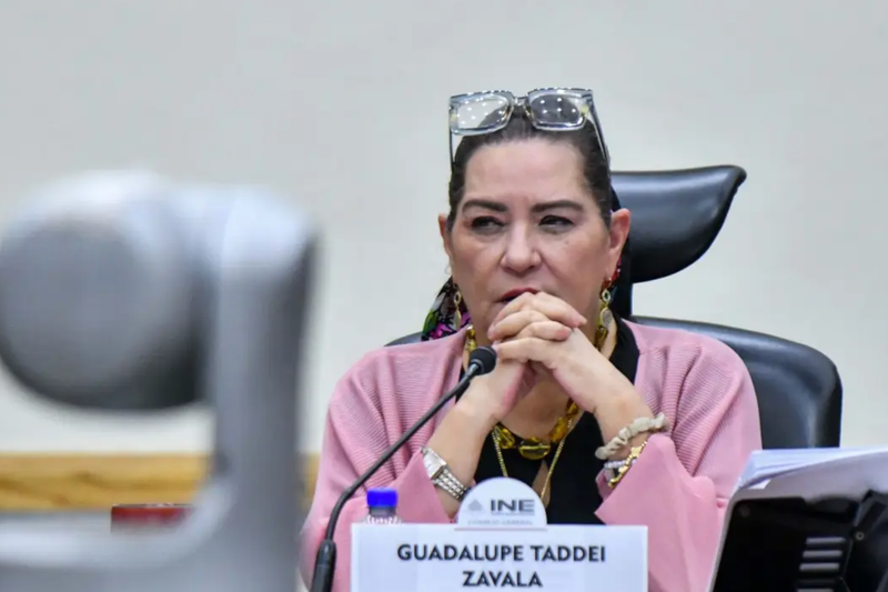 “Me retiro con la satisfacción del deber cumplido”: Taddei renuncia al INE