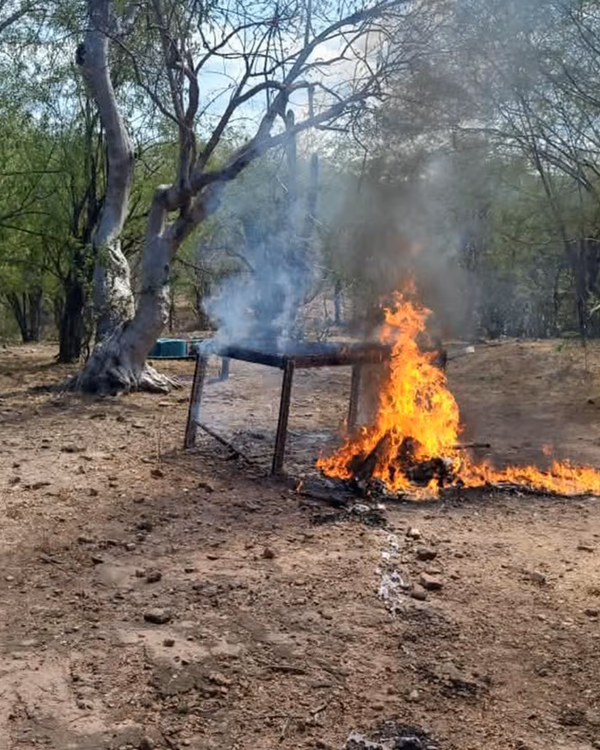 Gabinete de Seguridad desmantela laboratorio de metanfetaminas en Sinaloa