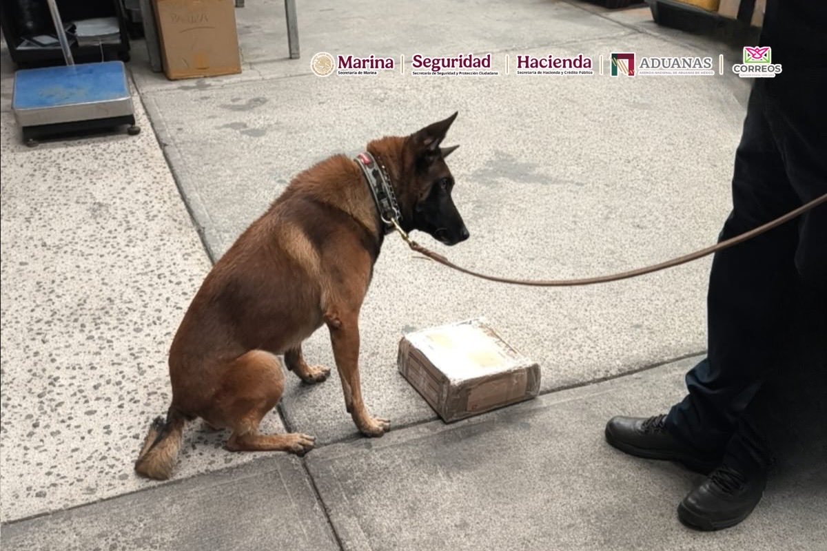 Autoridades identifican presuntas metanfetaminas en aeropuerto de la CDMX