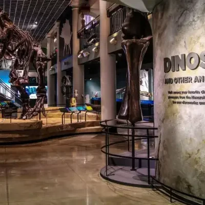 Cierra en Filadelfia el histórico museo de ciencias naturales