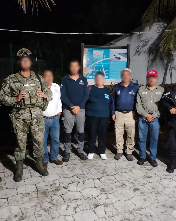Profepa resguarda 87 nidos de tortuga golfina en Puerto Arista, Chiapas